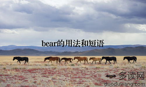 bear的用法和短语