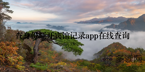 查身份证开宾馆记录app在线查询